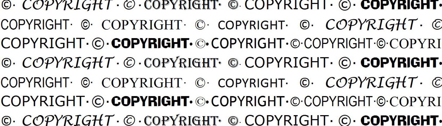 Constat Copyright 92,89€ TTC